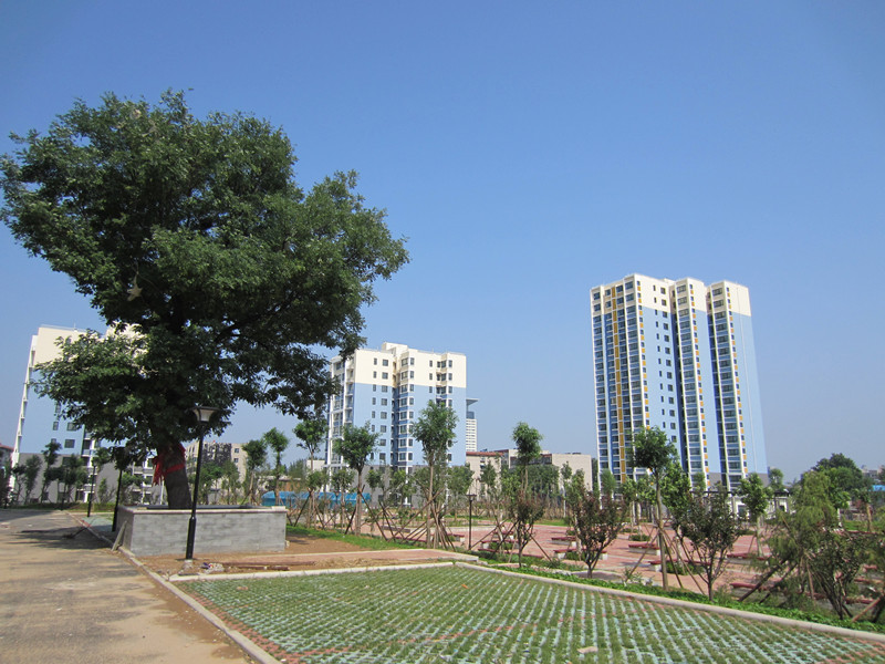 姚家村安置房園林綠化D區(qū)、E區(qū)、F區(qū)、G區(qū)的園林綠化工程第二標段