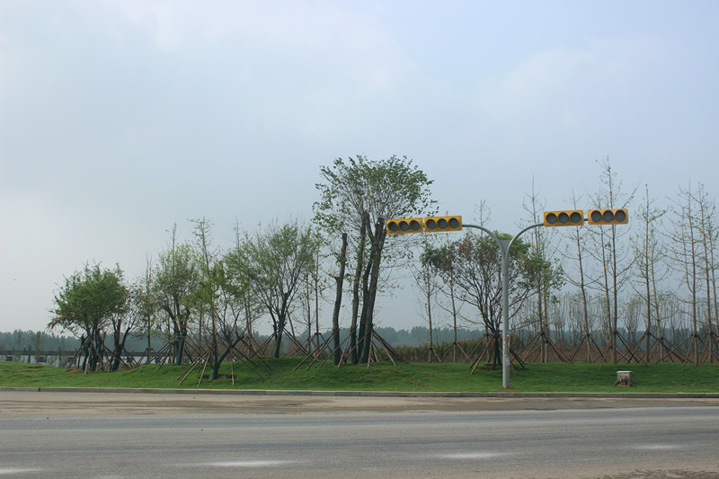 齊河縣黃河國際生態(tài)城G309景觀綠化工程施工一標段